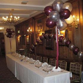 fwthumb3 balloon arch 65.00 & puffball tree 39.99.jpg